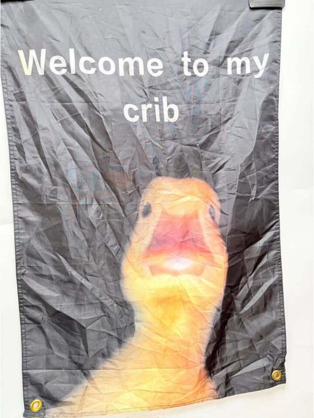 Welcome to My Crib Duck Meme Flag